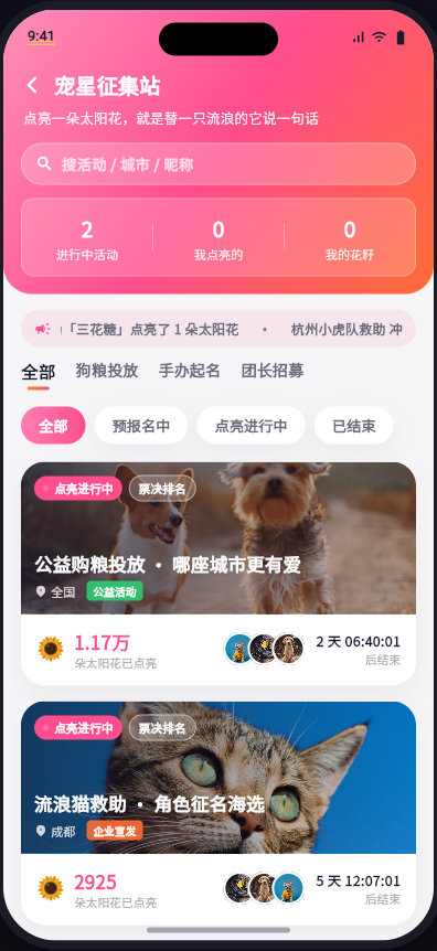 别流浪 宠星征集站 界面